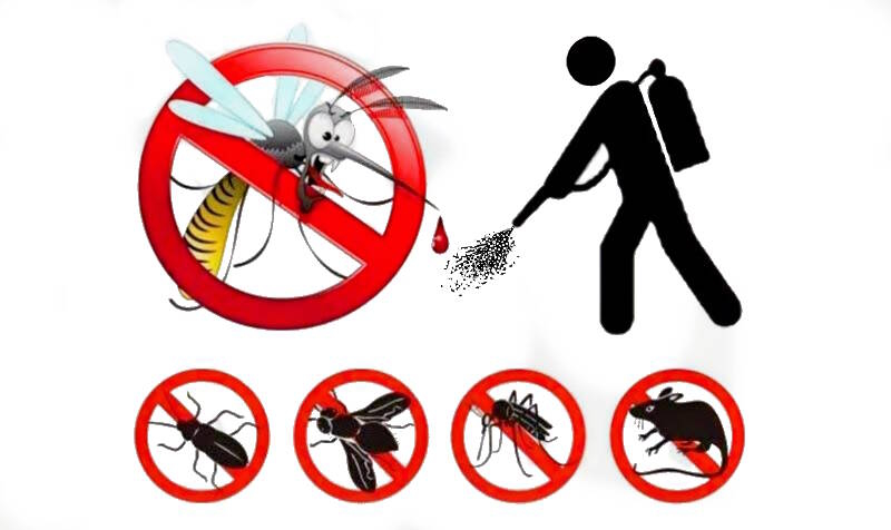 disinfestazione adulticida